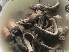 -三兄弟鲜羊肉