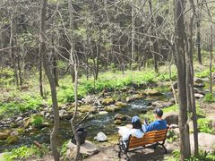 -玉渡山自然风景区