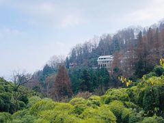 -莫干山风景区