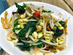 凉拌小豆芽-福茂源横山铁锅羊肉(牡丹园店)