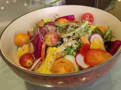 紫光大拌菜-紫光园(顺义店)