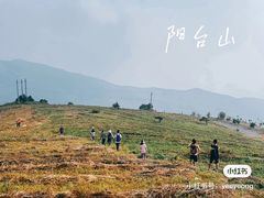 -阳台山自然风景区