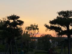 -江心屿景区