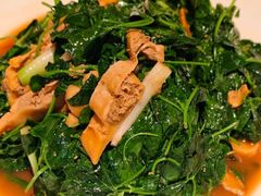 -洋洋中餐馆·SINCE 1997(信投店)