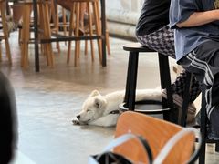 -VOYAGE COFFEE 咖啡烘焙工坊店(798艺术区店)