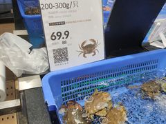 面包蟹-盒马鲜生(曜一城店)