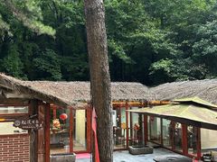 -小小饭店·休闲农庄·安吉松树林里的农家菜