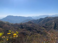 -大岭沟猕猴桃谷风景区