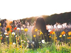 -艾溪湖湿地公园