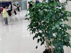 -上海交通大学医学院附属瑞金医院(总院)