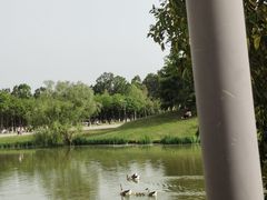 -西安浐灞国家湿地公园