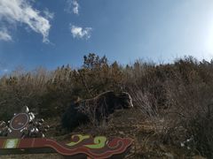 -米堆冰川