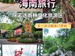 -呀诺达热带雨林