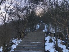 -紫金山山顶公园