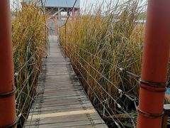 -河北村民俗体验园