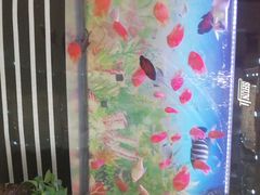 -清真悦宾楼食府(海湖店)