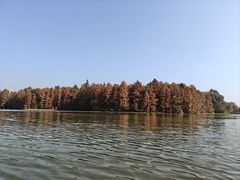 -上海海湾国家森林公园