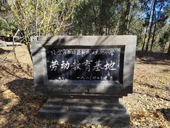-北京十三陵国家森林公园蟒山景区