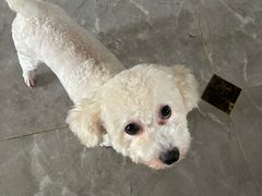 -宠颐生汉谟拉比宠物医院