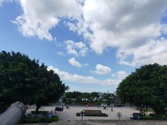 -广场正宗原汁薏米店