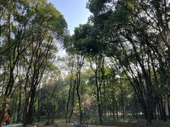 -东湖落雁景区