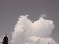 -重庆睡佛山森林公园