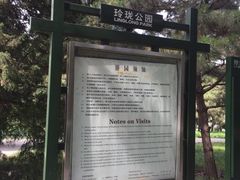 -玲珑塔公园