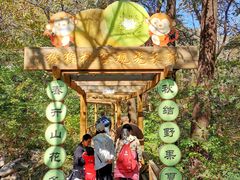 -大岭沟猕猴桃谷风景区