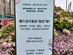 -首开·龙湖成都西宸天街