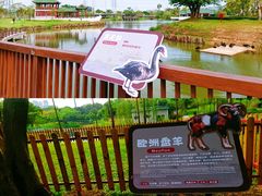 -王借岗森林公园