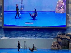 -福州罗源湾海洋世界旅游区