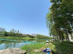 -洋湖国家湿地公园