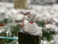 -北山街历史文化街区