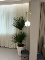 -美莱医疗美容医院