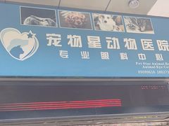 -宠物星动物医院·眼科·异宠·猫科(江南大道总院)