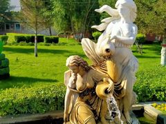 -煲来饱去冷水鱼