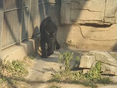 -石家庄市动物园