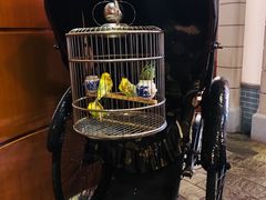 -上海老饭店(北京分店)