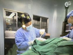 -南京医科大学友谊整形外科医院