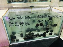 -海盗餐厅