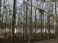 -仁和公园(顺义区)