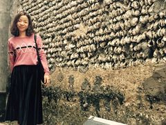 -小洲村