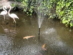 -忆江南·生态餐饮宴会酒店