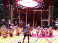 -西安秦岭野生动物园