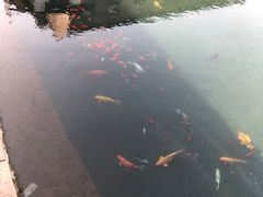 -芙蓉街-王府池子