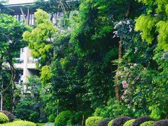 -深圳隐秀山居酒店