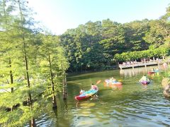-广州市帽峰山景区
