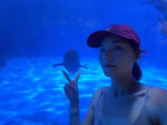 -蓬莱欧乐堡海洋极地世界