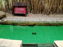 -森波拉火山温泉