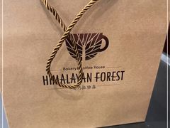 -喜马拉雅森HIMALAYAN FOREST
